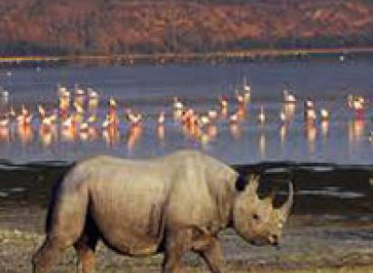 Lake Nakuru National Park