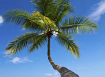 Stay 2 Nights & Get 3rd night Free