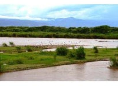 2Days/1Night Bujumbura City Tour, Rusizi National Park Tour