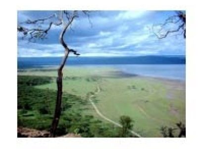 3Days/2 Nights Rwanda Tour - Explore The Thousand Hills Country