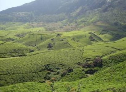 Munnar-Thekkady-Alappuzha 4N/5 Days Tour