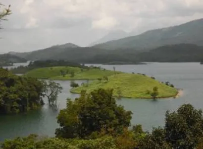 Wayanad-Mysore-Coorg 5N/6 Days Tour