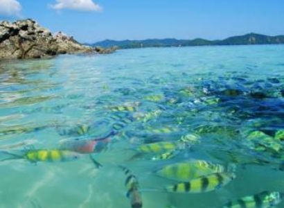 Thailand Singapore Tour