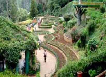 Amazing Snowfall Package. Tour