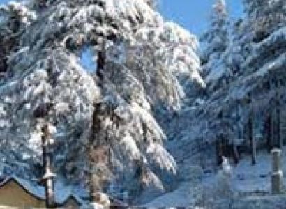 Himachal Delight Tour