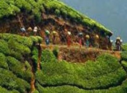 Darjeeling Tour Package