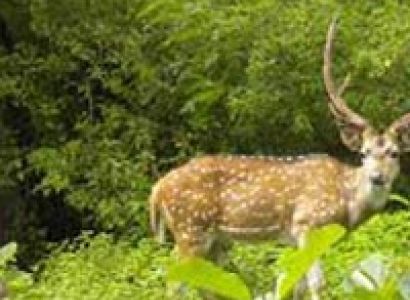 5 NIGHT 6 DAYS Guwahati Cherapunjee Tour