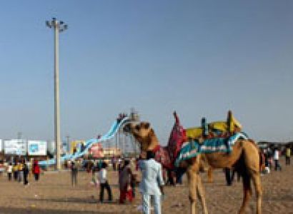 Mandvi Day Tour Package