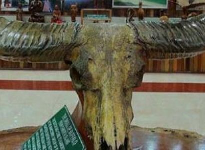 Historical Andaman Tour