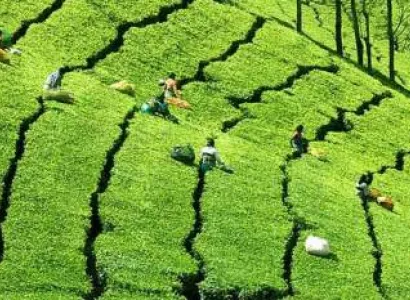 Kerala Village Experience Tour