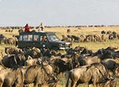 Wings over Masai Mara 