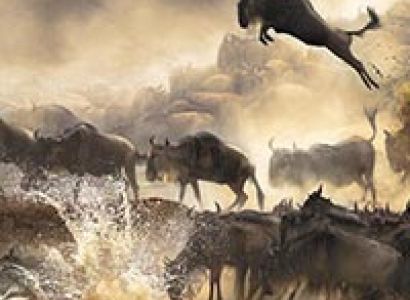 Glimpse of Kenya Tour