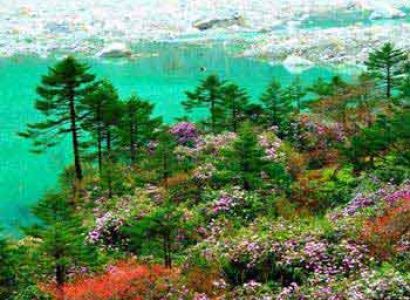 Sikkim Tour Exclusive