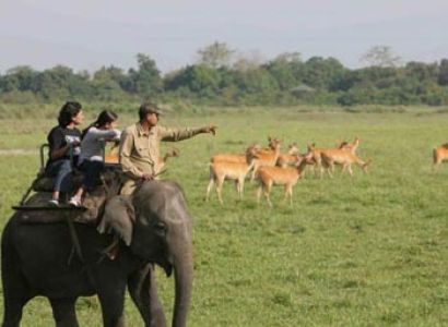 Sikkim, Darjeeling, North East India Safari Tour