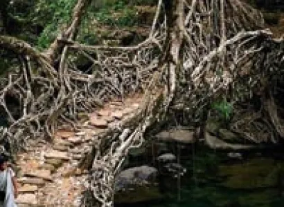 Virgin Eastern Hills Tour