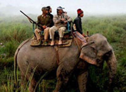 Kaziranga National Park Tour