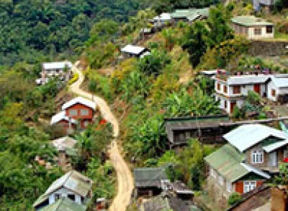 Seven Sisters And One Brother