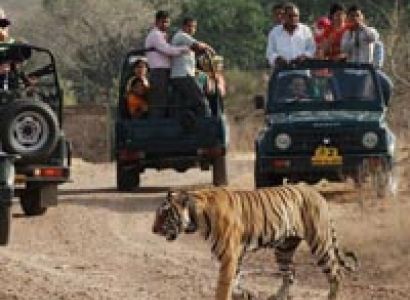 Taj Mahal With Wildlife Tour
