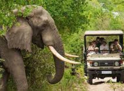 South India Wildlife Tour