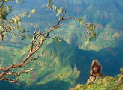 Trekking in the Simien Mountains National Park