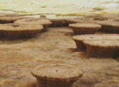 The Afar Triangle Expedition