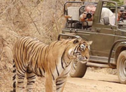 Golden Triangle Ranthambore Tour