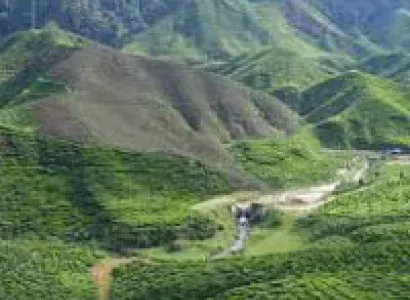 North East India Nagaland Tour