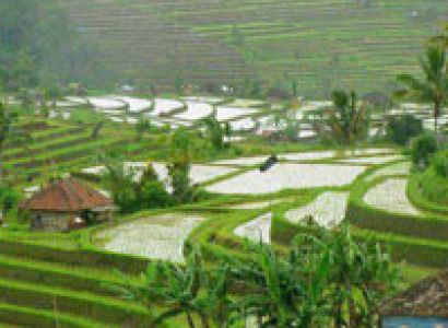 Amazing Kokan Tour Package