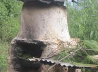 Bhutanese Foothills to Himalayas