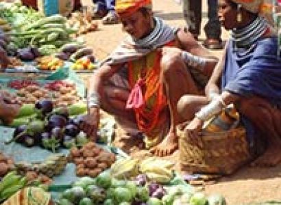 Araku Valley Tour Odisha