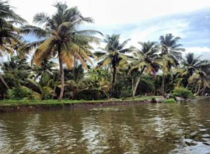 Discover Kerala Tour