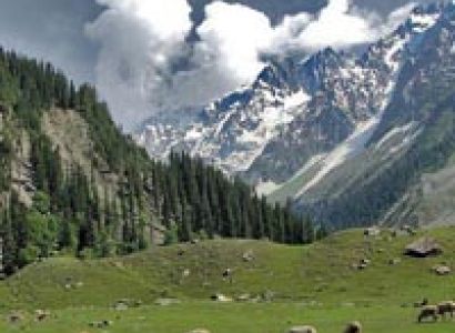 Kashmir Panorama Tour