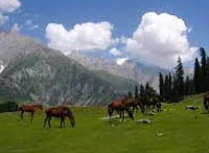 Magical Kashmir with Sonamarg Tour