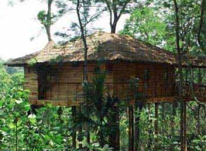 Heritage Kerala Tour with Tree House
