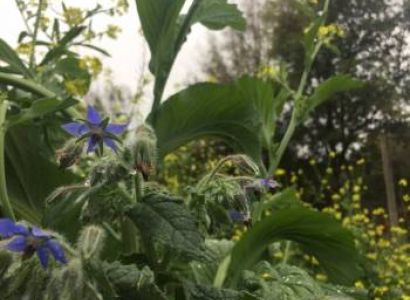 The Southern Heritage Tour