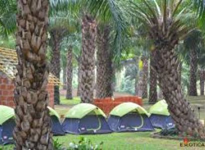 Calicut Wayanad Vacations Tour