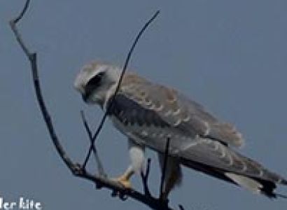 Jungle Safari at Kanha National Park Luxury Package