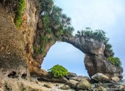 Andaman Honeymoon Dairy Ltc Tour