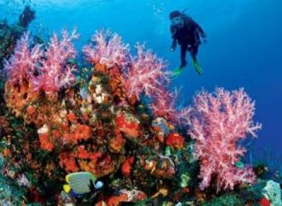 Andaman Emprise Sprint Tour