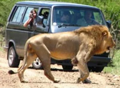 Adventurous Package - 56