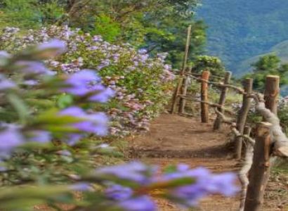 Hill station & Backwater Holiday Kerala Package