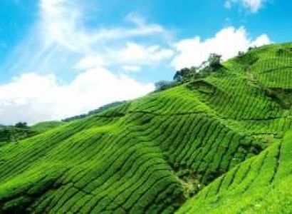 Honeymoon Trip to Kerala for 02 Pax