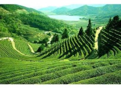 05 Night & 06 Days Golden Kerala Tour Package