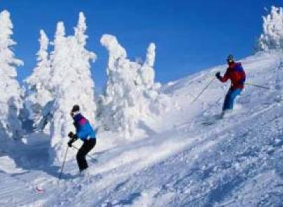 Manali Honeymoon Tours
