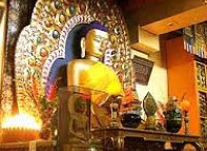 Dharmshala Volvo Tour Package