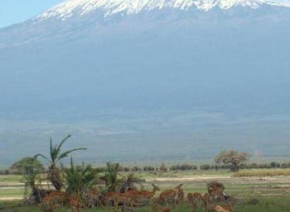 From Roof of Africa Head to Bush &The Beach Tour