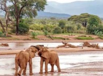 Aberdares to Samburu Safari