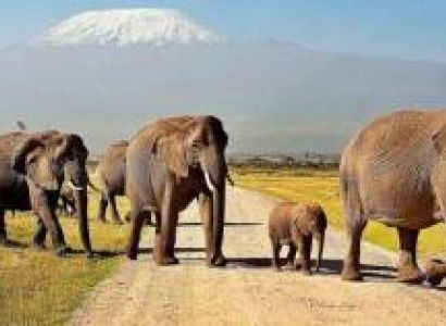 Kenya Budget Camping Safari Tour