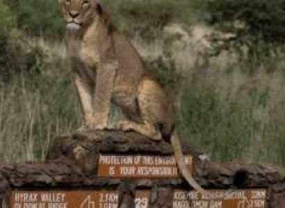 Majestic Kenya Luxury Safari