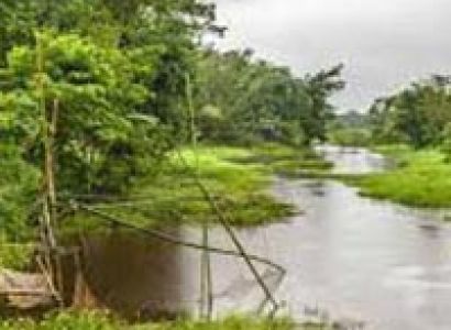 Tea Tasting Tour to Dibrugarh & Jorhat